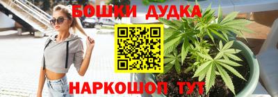 кокс Моздок