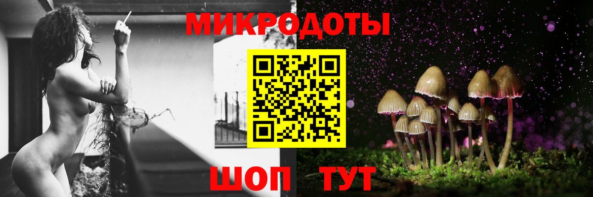 Галлюциногенные грибы прущие грибы Тобольск