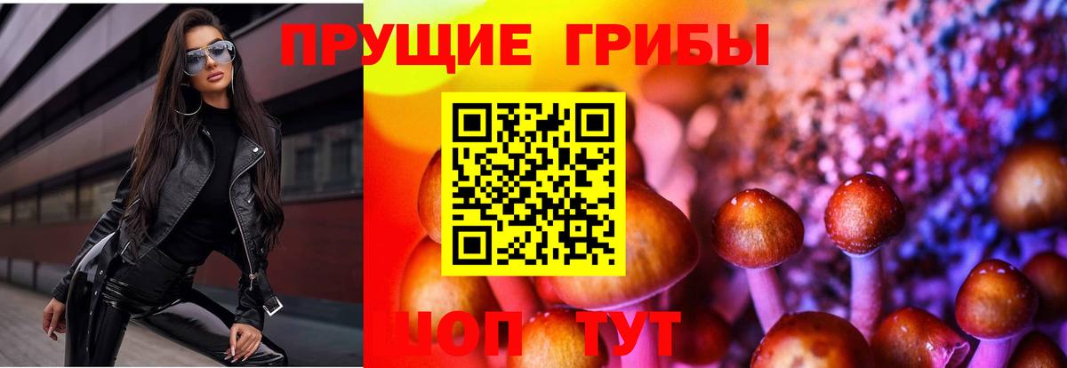 Тобольск  Галлюциногенные грибы мицелий  Галлюциногенные грибы Psilocybine cubensis  купить  сайты  Вход с VPN 